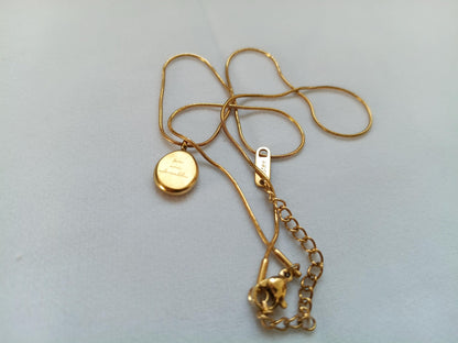 Collar Moneda Ovalada Pulida en Oro 18K (PVD) - Cadena Serpiente - 16" + 2" 40+5cm para mujeres